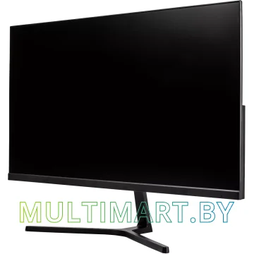 Монитор Hiper EasyView HB2401 (черный) картинка 2